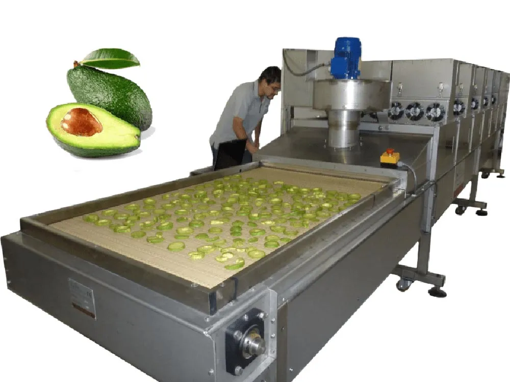 Essiccatore-industriale-a-microonde-per-frutta-e-verdura