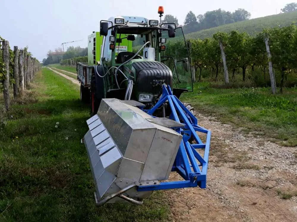 come-eliminare-le-erbe-infestanti-con-le-microonde