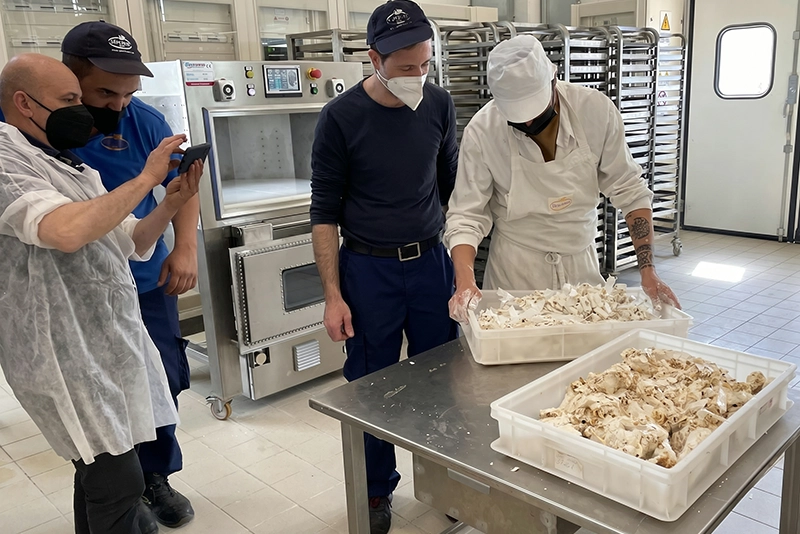 microonde-microwave-professionali-su-misura
